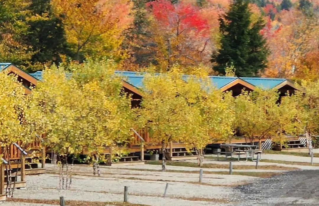 Lr Valley Campground Glamping Cabin-1